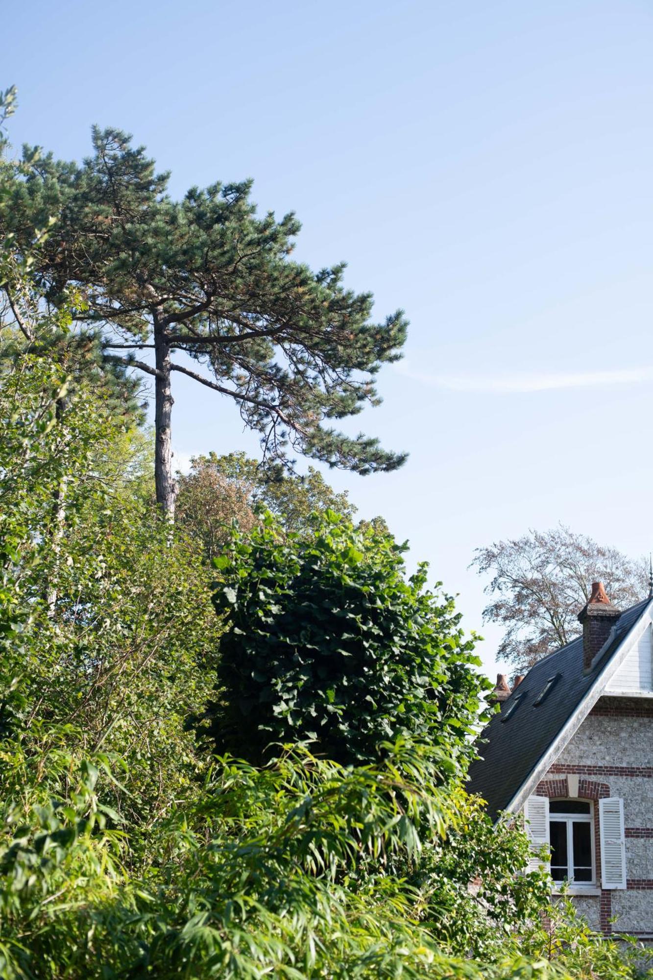 Villa Eliane - Parking Prive Etretat Exterior photo